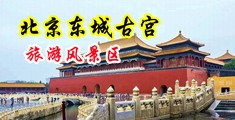 女人的大骚穴中国北京-东城古宫旅游风景区